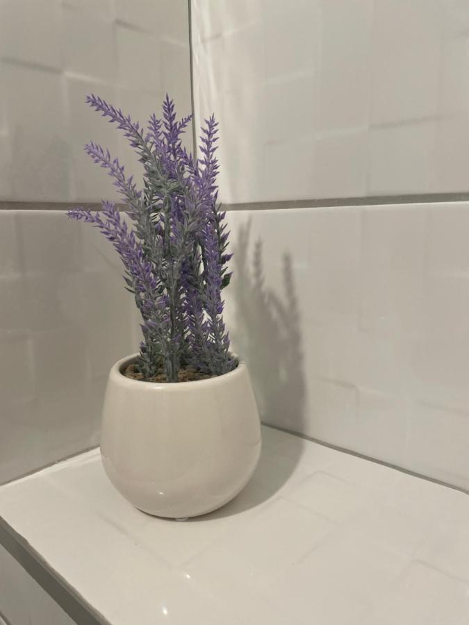 Drinka Parlament Center Apartment ベオグラード エクステリア 写真